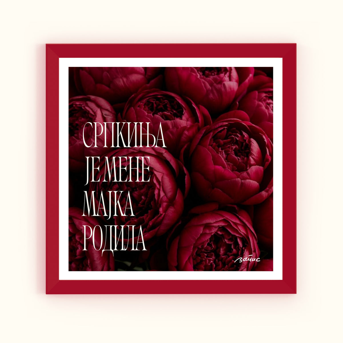 Minijatura crveni ram - "Srpkinja je mene majka rodila"
